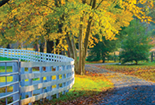 How to Save on Auto Insurance
